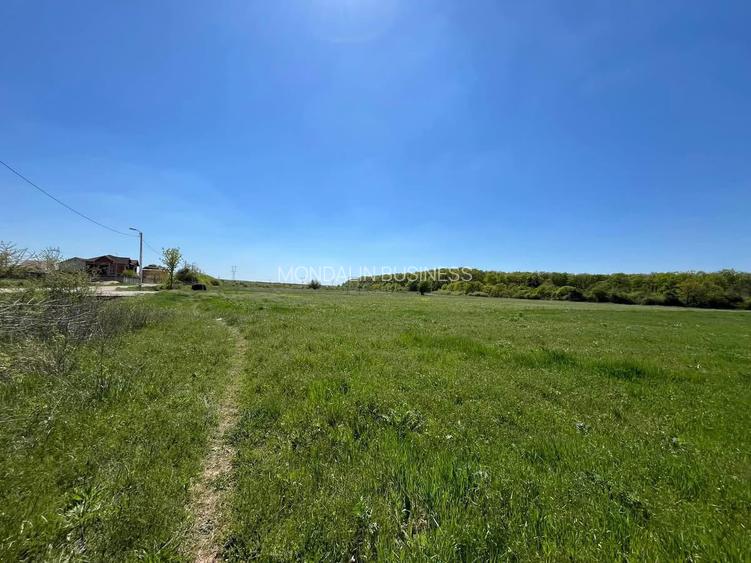 Teren extravilan 4500 MP, cu PUZ, Grigorescu , Oradea. - 2