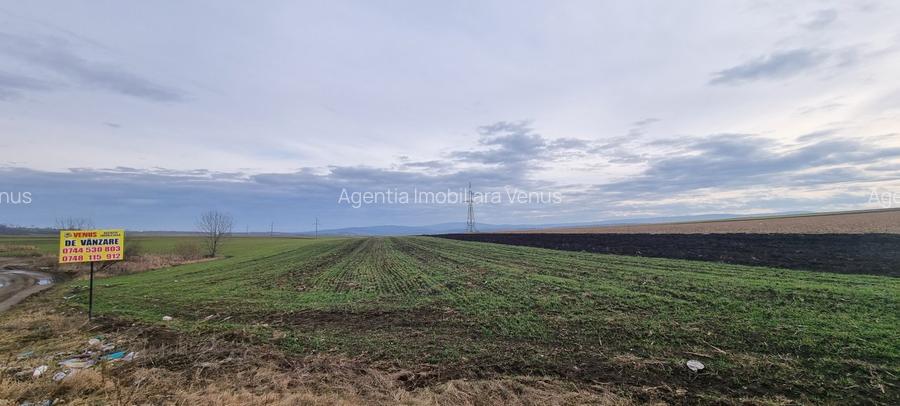 Teren Zaicesti la strada Botosani-Iasi - 3