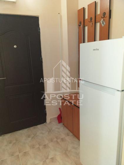 Apartament cu 1 camera de inchiriat, 32 mp, Take Ionescu, Timisoara - 5