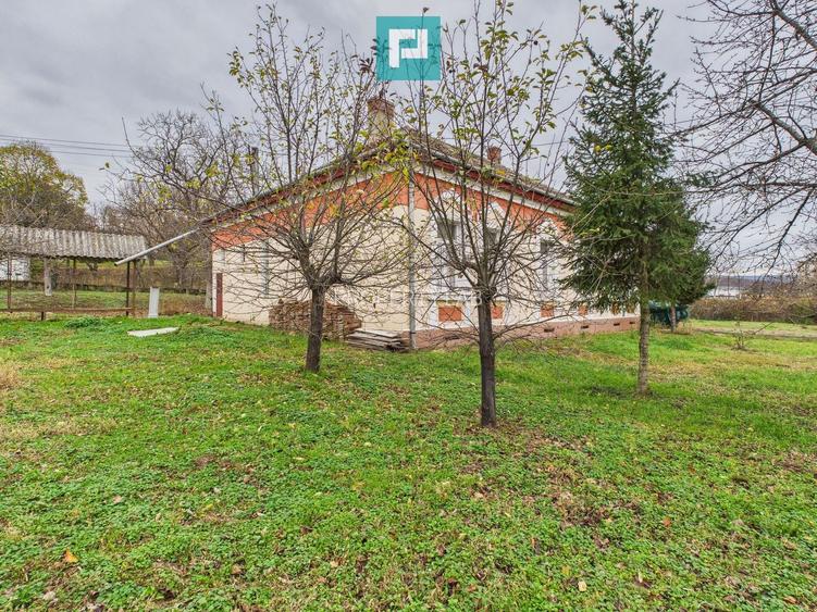 CONAC IMPRESIONANT ÎN GHIOROC - 58