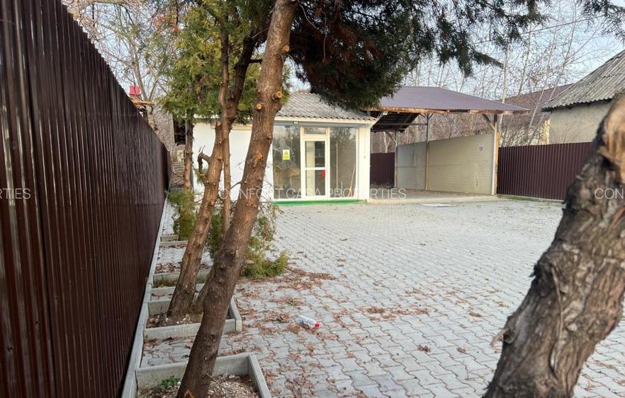 Mioveni - Cosesti - stradal, IDEAL  LOCUINTA/SPATIU COMERCIAL - teren 1250 mp - 16