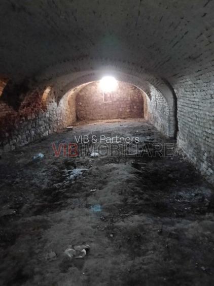 Conac apartinand lui Cicio POP, judet ARAD - 8