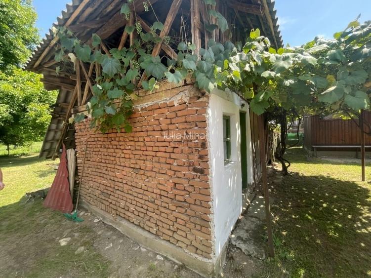 Teren 4.684 mp cu construcție existentă – Mălureni, Argeș - 8