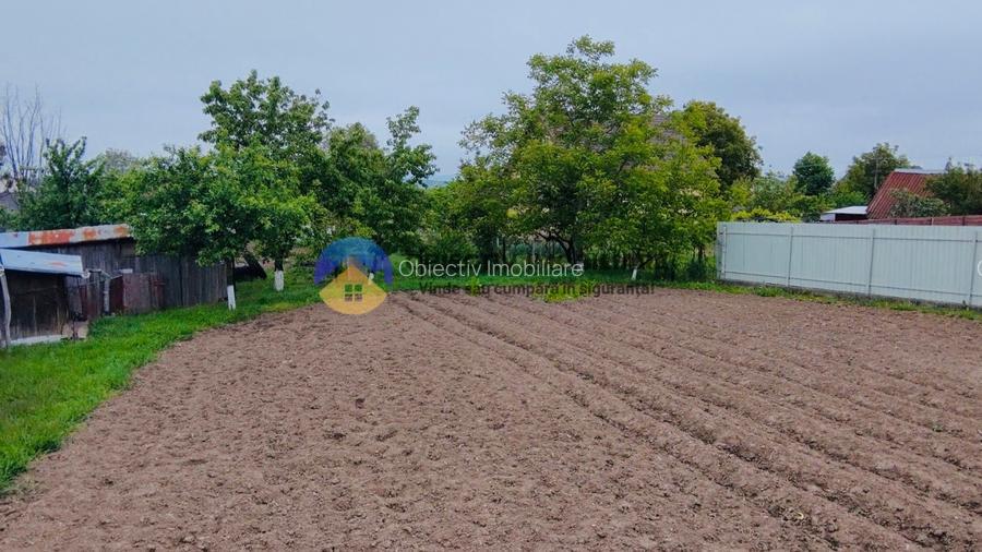 Casa comuna Margineni - 5