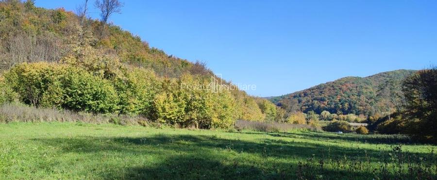 Teren de vanzare, 20.000Mp , Comuna Danes, drumul Crisului - 7