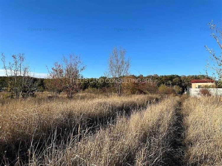 Teren intravilan 1170 mp Corbeanca Padurea Tamasi - 2