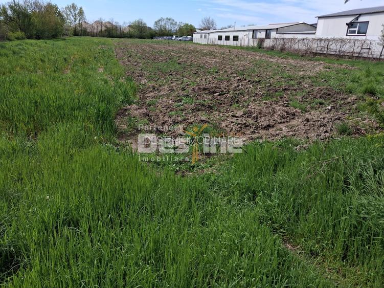 Teren intravilan excelent pentru investiție/comercial în Mihăești – DN64 - 6