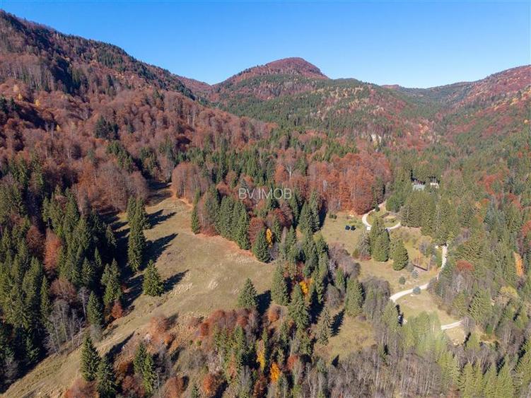 Teren de Vis langa Siriu  – 20000 mp ideal pentru Complex turistic Comision 0% - 7