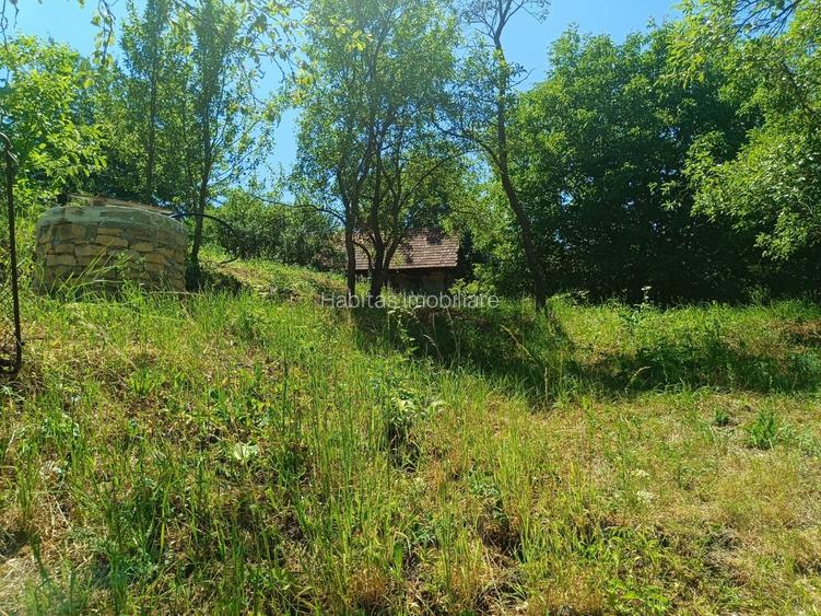 0 comision, Teren de 906 mp cu casa-Corusu, com Baciu - 6