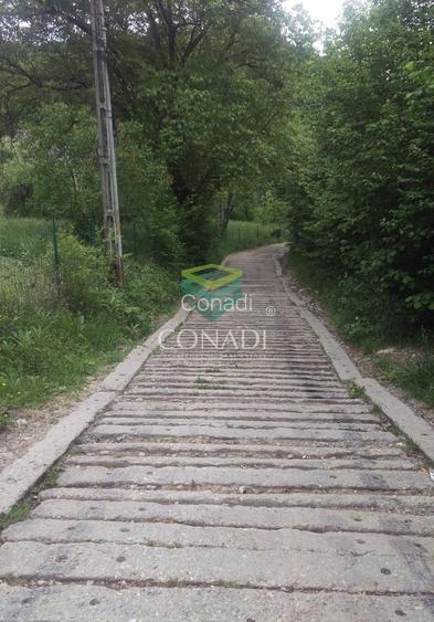 Teren Breaza  800mp pe colina priveliste superba - 4