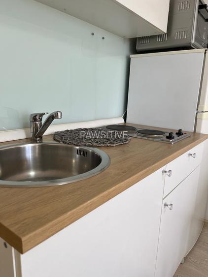 Nicolae Grigorescu-Energeticienilor Garsoniera Moderna - 5