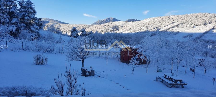 De Vanzare Casa tip Tiny House | Teren 5.400mp cu PUZ aprobat | 6 case A-Frame - 10