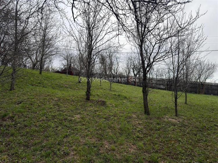 Teren intravilan 1518 mp, constructie, Sotrile, Prahova - 24 EUR/mp - 7