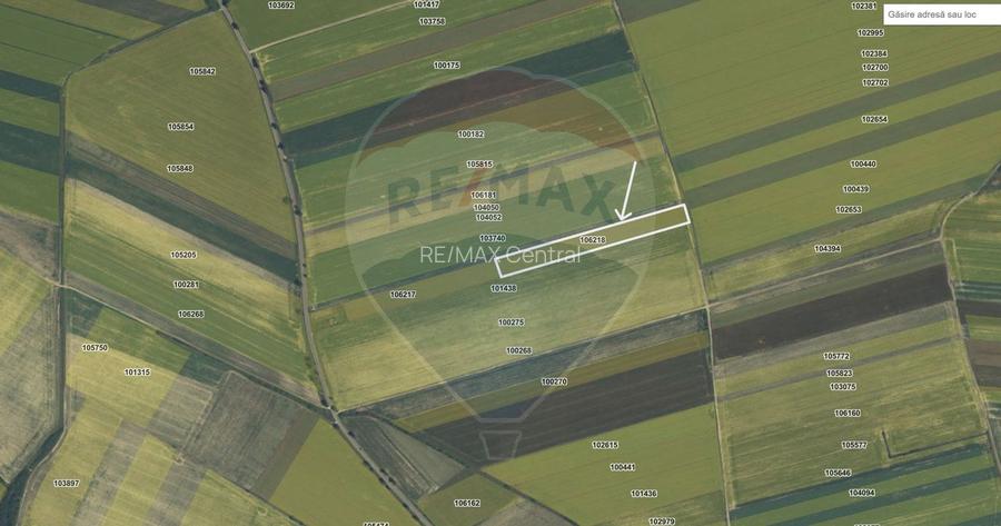 Teren extravilan 2 parcele de 9.750 mp - Satul Nou, comuna Hălchiu - 6