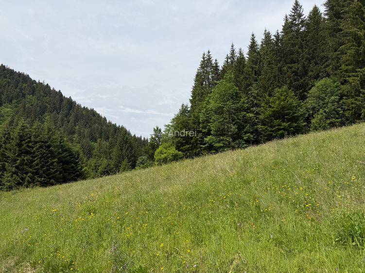 Teren de vânzare în Toplița – oportunitate pentru investiție turistică - 3