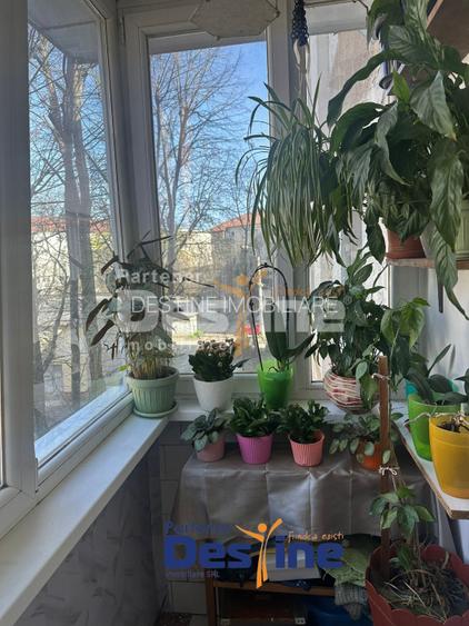 Apartament 2 camere, zona excelenta, Calea Aradului, Timisoara - 13