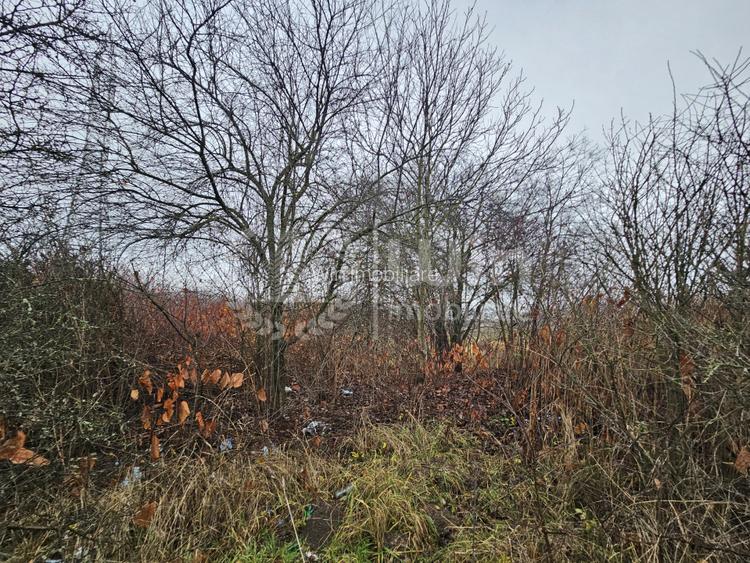 Teren intravilan 1072mp cu puz aprobat | Borhanci | Romul Ladea! - 3