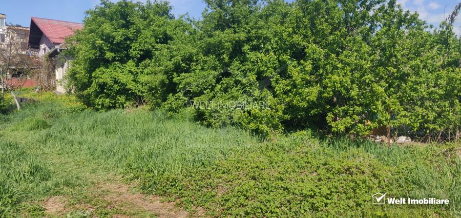 Casa individuala | Gradina | Apahida - 8