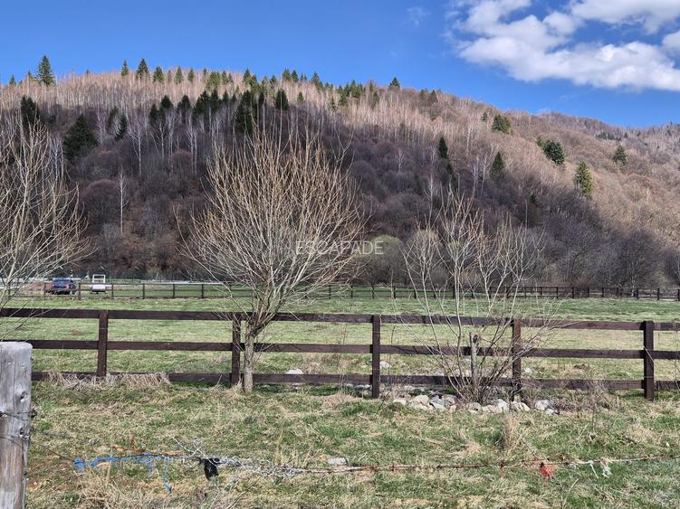 Teren superb intravilan 1200 mp, Plaiul Foii, vedere la munte - 11