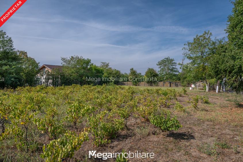 ✅ Stradă asfaltată: O oază de liniște la doar 20 minute de Constanța - 14