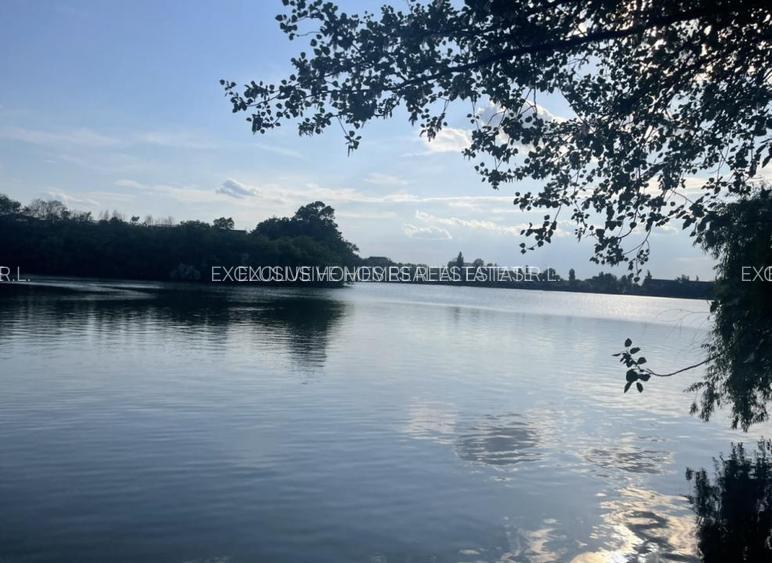 Vanzare vila lacul Baneasa - 31