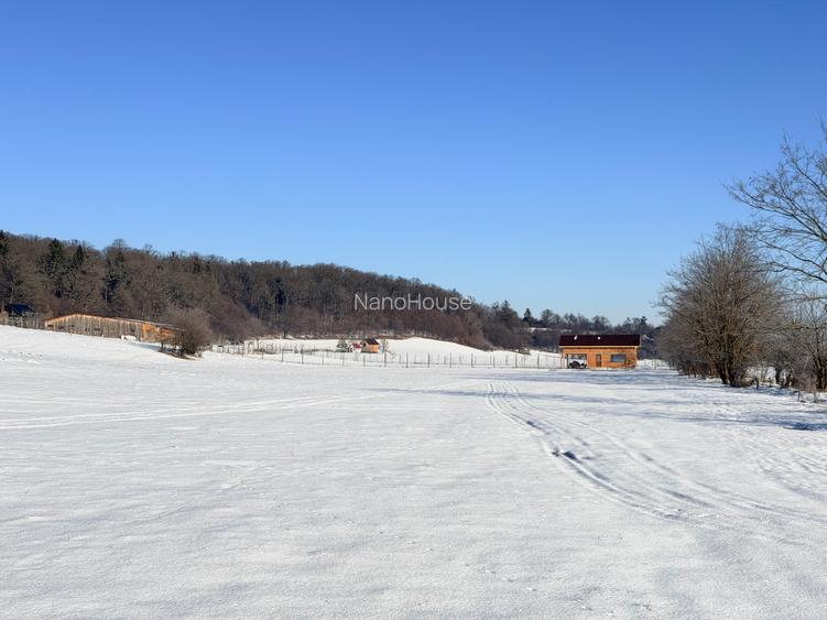 Teren de vanzare pentru investitie - 5