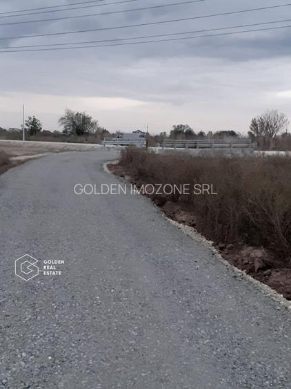 Teren Bolintin Deal - Parc Industrial / Logistic - 6