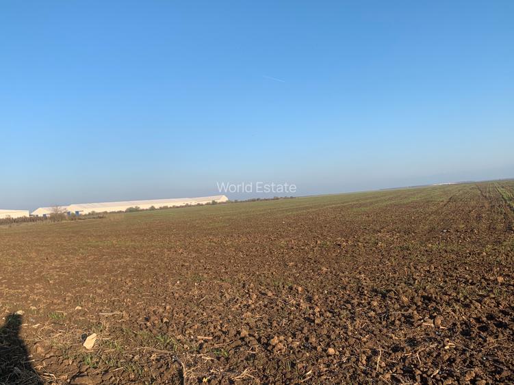 Ocazie!!!! Teren intravilan, 20000mp , Popesti Leordeni, utilitati in zona! - 2