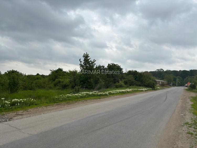 Terenul dintre 2 lacuri – 1000 mp în Mogoșoaia, la 5 minute de pădure - 12