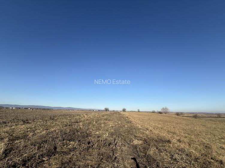 Teren extravilan | Rădăuți | 600 m de centură | 20 m front - 2