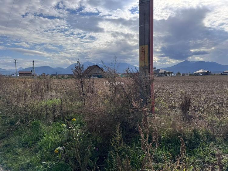 Teren dezvoltare rezidentiala Tarlungeni - zona Izvor - 5