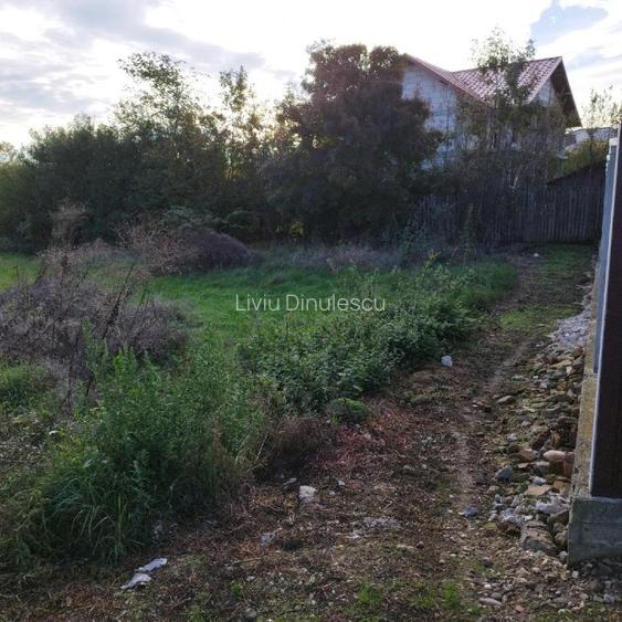Teren de vanzare in comuna Sperieteni - 3