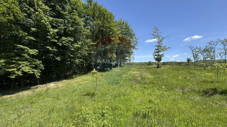 Teren intravilan de vanzare 55 600 mp Codru Butesii - 12