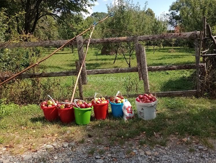 TEREN DE VANZARE - 2