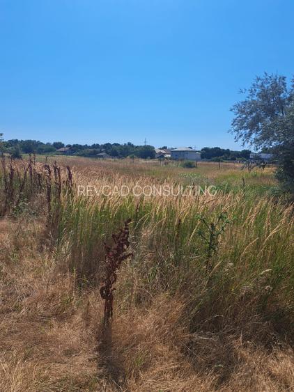 Teren linga strada Ciresilor - 5