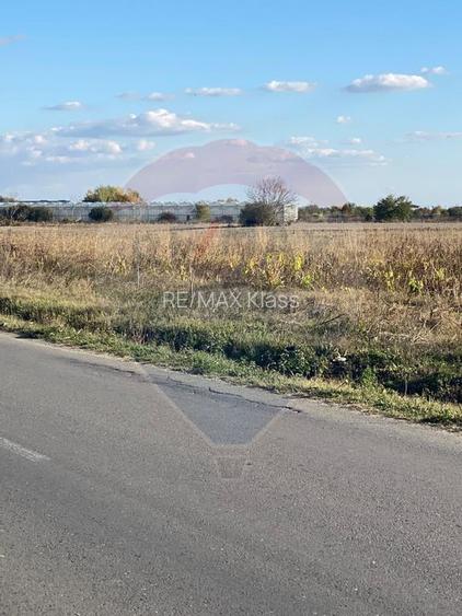 Teren intravilan constructii Stoenesti (Floresti-Stoenesti) / None - 5