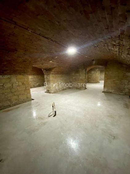 Spatiu Comercial, 258 MP, zona Podul Traian, ideal pentru clinica - 10