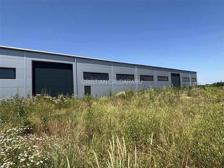 Inchiriere depozit/hala/spatiu industrial Chitila - Oxigenului, ILFOV - 5