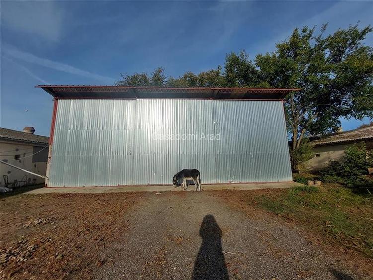 Hale de inchiriat cu acces din centura - 11