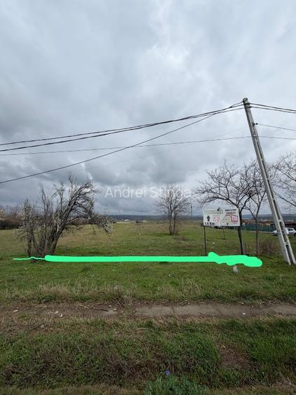 Teren intravilan de5000mp  - 4