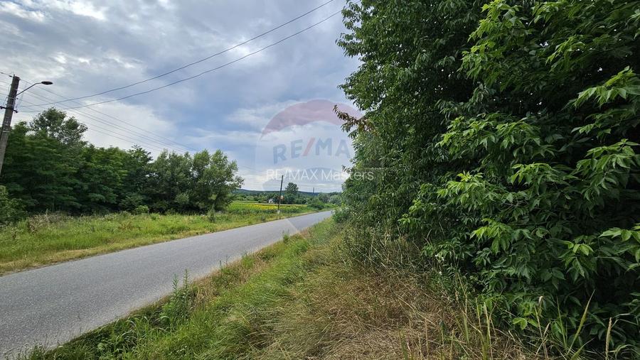 Casa  de vânzare cu teren 9200 mp, Pădureni-Șendriceni, Botoșani - 19