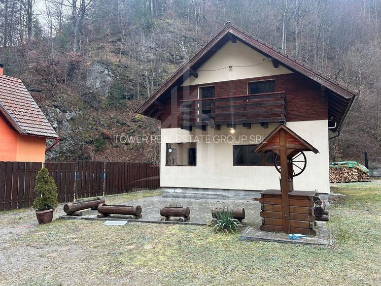 Casă de vacanță în Râu Sadului - 14