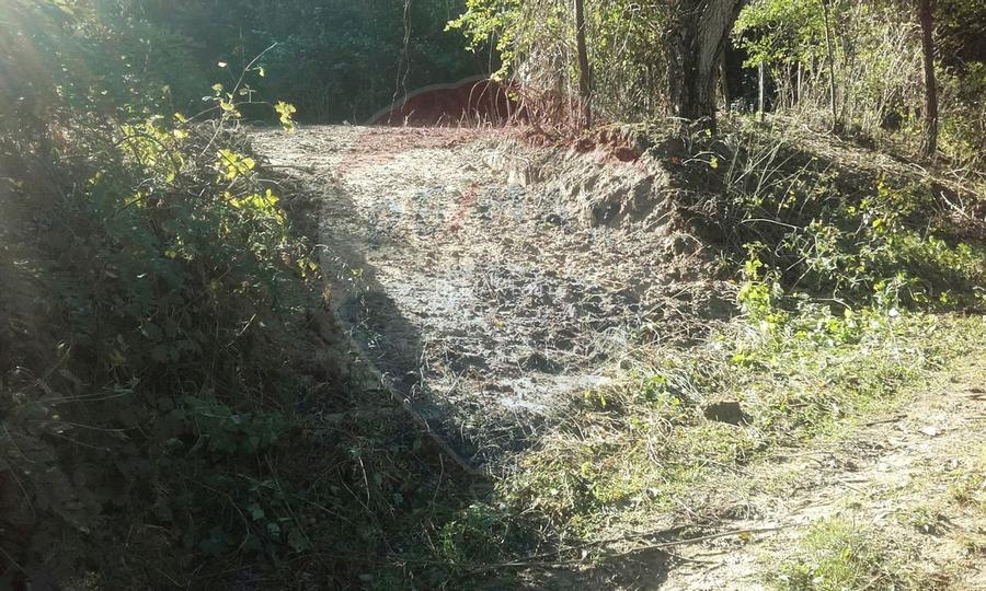 Teren 96,279mp Bujoreni / Strada Stejarului - 2