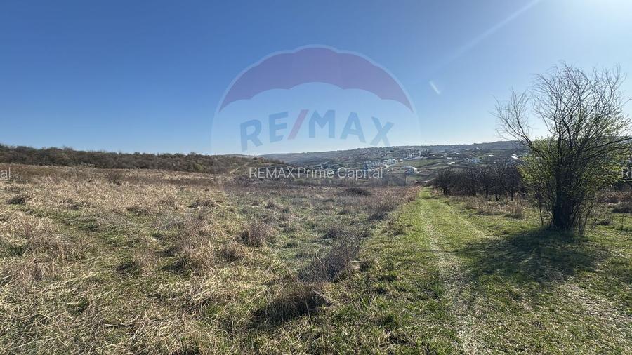 Teren intravilan de vânzare, 1107 mp –Paleu, județul Bihor - 4