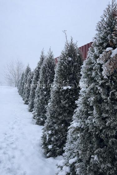 Casa noua cu etaj mobilata la intrare in Curtesti - 3