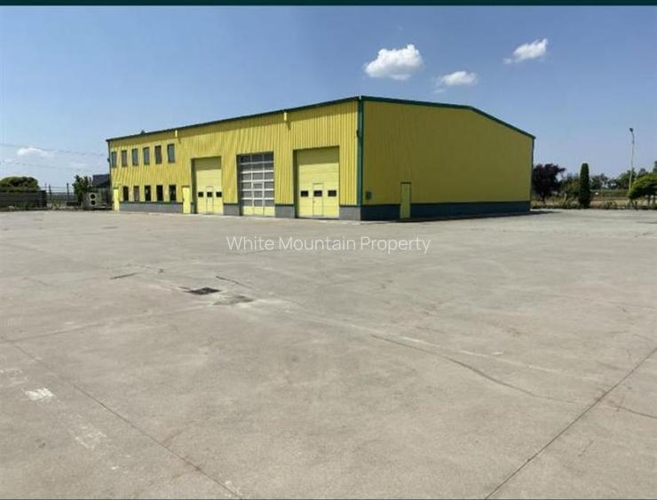 Pecica, 12000 mp platforma, inchiriere lunga durata, - 14