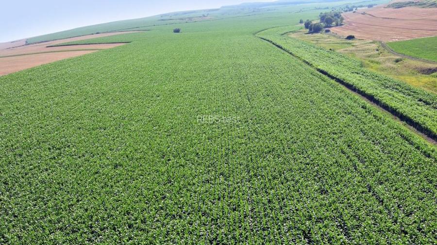 Teren agricol Alba Iulia - 7