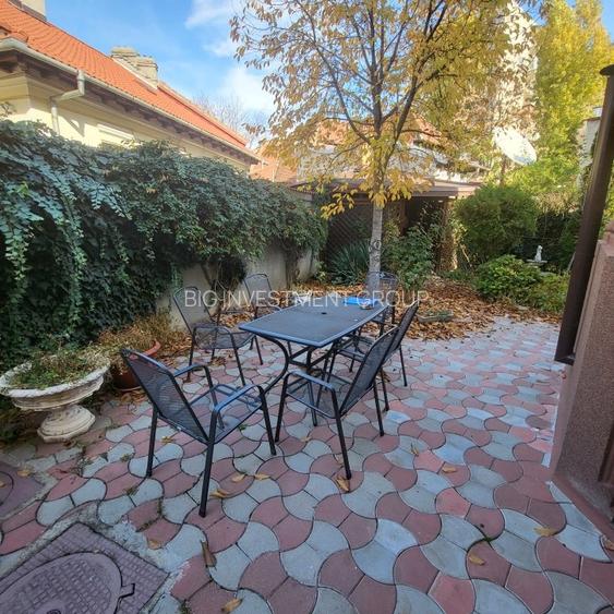 Vila boiereasca, superba, strada, linistita, nelipita de vreun alt imobil - 40