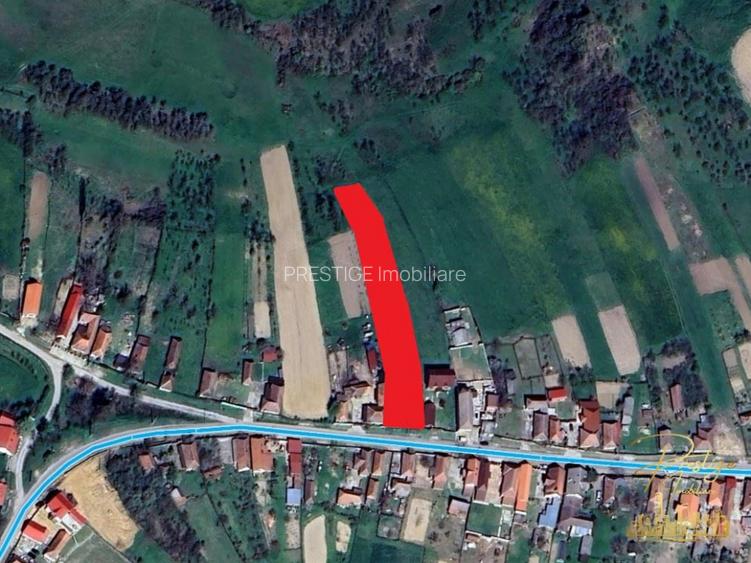 Teren intravilan de vanzare in Tasad - comuna Dragesti - 6