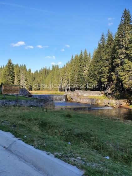 teren de vanzare la munte pentru  cabana - 4